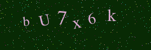 Validation image