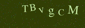 Validation image